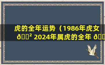 虎的全年运势（1986年虎女 🌲 2024年属虎的全年 💐 运势）
